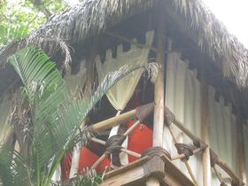 Dominican Tree House Village Peninsule Samana Dominican Tree House Village Peninsule Samana
